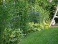gartengestaltung-Graeser-und-Stauden