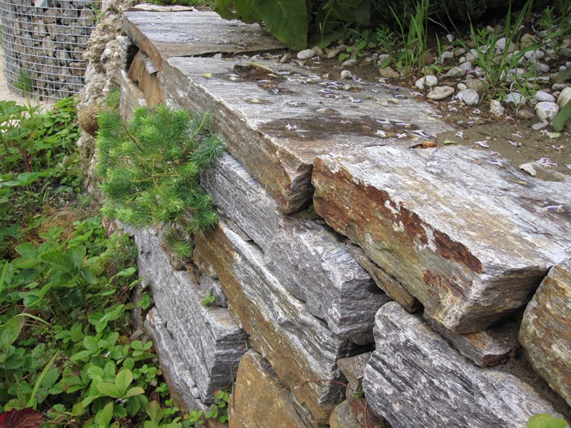 Bepflanzung einer Mauer aus Stainzer Gneis